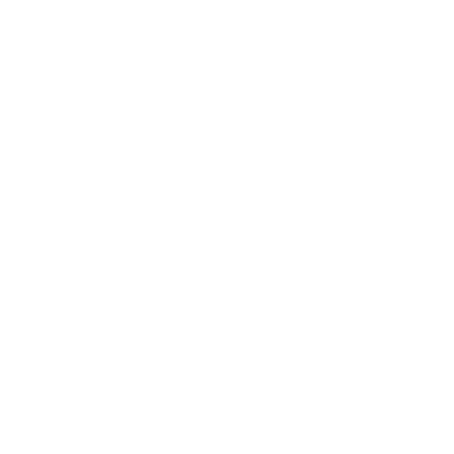 Local Expert Support